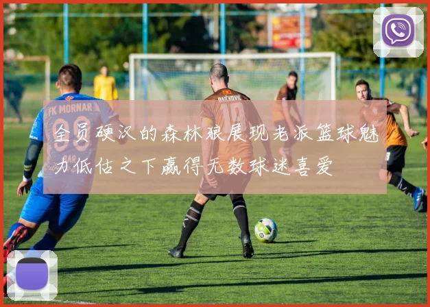 全员硬汉的森林狼展现老派篮球魅力低估之下赢得无数球迷喜爱